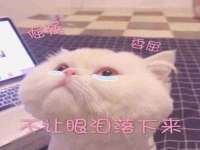 寂墓(沭阳)商贸有限公司
