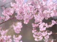 寂墓(沭阳)商贸有限公司
