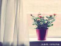 寂墓(沭阳)商贸有限公司