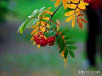 寂墓(沭阳)商贸有限公司