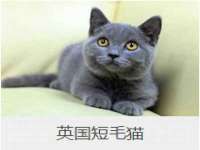 寂墓(沭阳)商贸有限公司