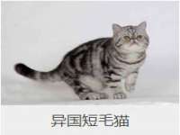 寂墓(沭阳)商贸有限公司