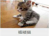 寂墓(沭阳)商贸有限公司