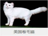 寂墓(沭阳)商贸有限公司