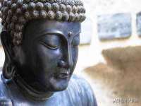 寂墓(沭阳)商贸有限公司
