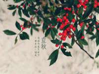 寂墓(沭阳)商贸有限公司