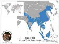 寂墓(沭阳)商贸有限公司