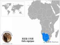 寂墓(沭阳)商贸有限公司
