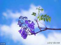 寂墓(沭阳)商贸有限公司