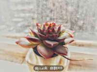 寂墓(沭阳)商贸有限公司