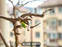 寂墓(沭阳)商贸有限公司