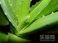 寂墓(沭阳)商贸有限公司