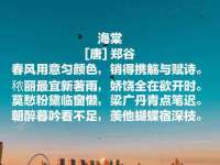 寂墓(沭阳)商贸有限公司