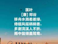 寂墓(沭阳)商贸有限公司