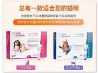 寂墓(沭阳)商贸有限公司