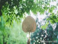 寂墓(沭阳)商贸有限公司
