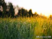 寂墓(沭阳)商贸有限公司