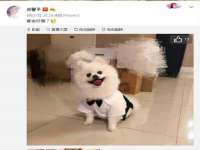 寂墓(沭阳)商贸有限公司