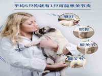 寂墓(沭阳)商贸有限公司