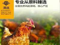 寂墓(沭阳)商贸有限公司