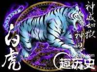 寂墓(沭阳)商贸有限公司