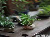 寂墓(沭阳)商贸有限公司
