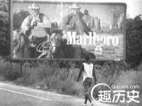 寂墓(沭阳)商贸有限公司