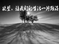 寂墓(沭阳)商贸有限公司