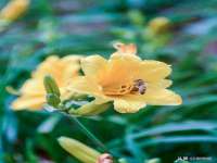 寂墓(沭阳)商贸有限公司