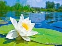 寂墓(沭阳)商贸有限公司