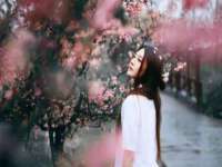 寂墓(沭阳)商贸有限公司
